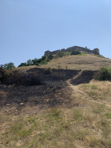 A meleg veszélyei, az égett fű a vároldalban