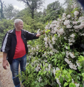 Ellátottunk csodálja a virágot