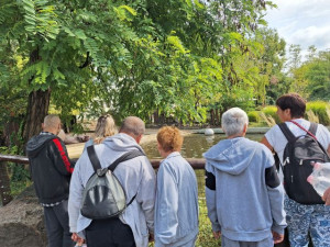 Éppen a viziló bőrének "ápolásáról" beszélgetünk