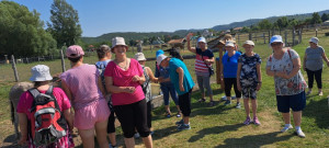 A nagy melegben éppen a csacsikat nézegettük, nagyon kedves teremtések