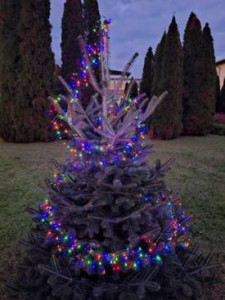 Az első fények is kigyúltak advent első vasárnapján