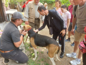 Kutyás bemutató és kutyasimogatás