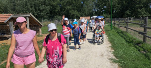 A háziállatok felé sétálunk, hétágra süt a nap, de töretlen a kedvünk