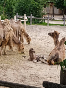 Tevéknek is melege van