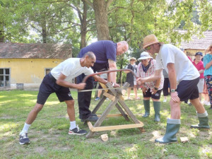 Fafűrészelő verseny