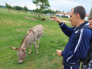 Ellátottunk a szamárral ismerkedik